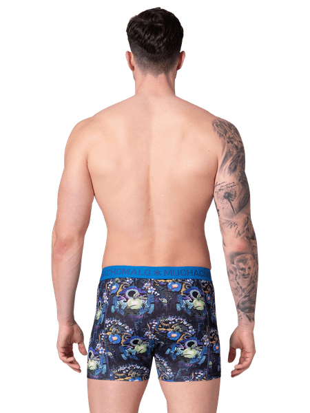 Bilde av FRUITNOEVEL 2PK BOXER Print 