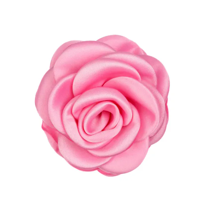 Hovedbilde ROSE HAIR CLAWS